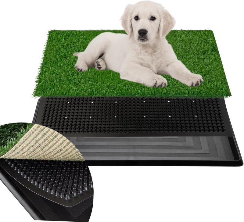 FluffyDream Artificial Grass for Dog Potty – 20 x 25 inch,Strong Absorbency Grass Pad with Tray, Dog Potty Training Pad Litter Box with Grass - Image 1